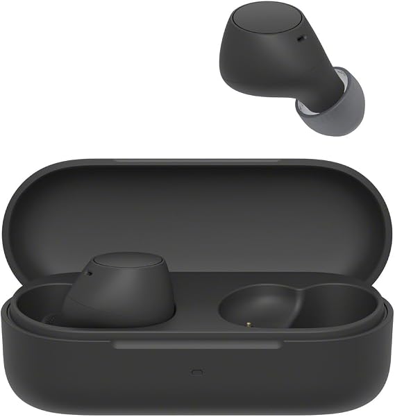 Sony WF-C510 Truly Wireless Earbuds