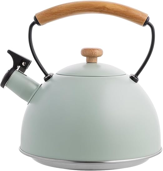 FLORINA Hervidor de Agua (2,3 l) I Tetera de Acero Inoxidable NATURA I Mango de Madera I Silbido Automático I Hervidor para Cocina de Inducción, Cocina a Gas y Cocina Eléctrica I Color: Menta