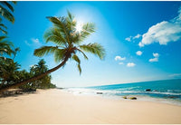 Aoihrraan 3x2m Telón de Fondo de Playa Tropical Mar Palmera Azul Océano Sol Fondo de Fotografía Sesión de Boda Campamento de Verano Fiesta Niños Adultos Amante Retrato Accesorios de Fotografía