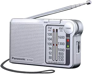 Panasonic RF-P150DEG-S Pocket Radio FM/AM con Sintonizador Digital, Control Automático de Frecuencia, Sintonizador Grande, Puntero Fluorescente, Funciona con Pilas, Color Plateado