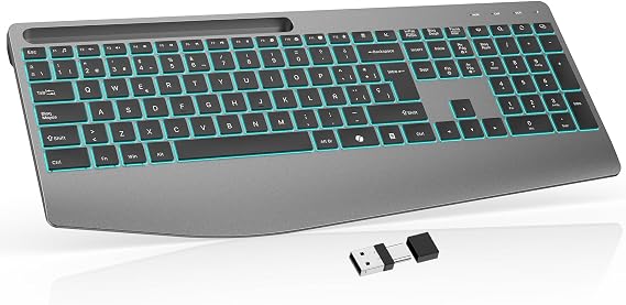 OMOTON Teclado Inalámbrico Ergonómico Reposamuñecas QWERTY Español 2,4G