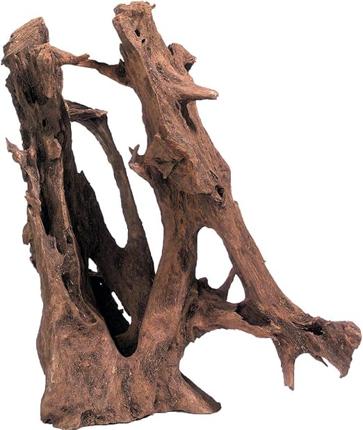 Flamingo Décoration Naturelle Mangrove - Racine de Mangrove Brune - M | 20-38CM