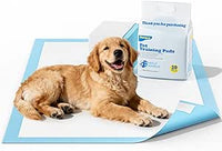 Barpor Empapadores Perros 60x60cm Desechables - 20 Unidades Almohadillas Higiénica Absorbentes para Cachorros y Gatos Resistente a Prueba de Fugas con Superficie de Secado Rápido