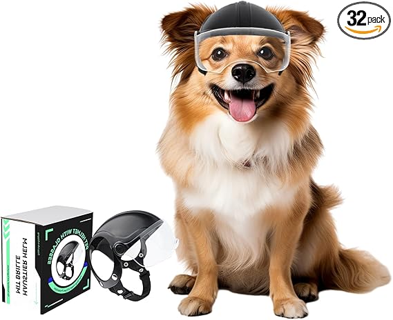 NAMSAN Casco de moto para perros con gafas de protección UV para perros pequeños con visera (sin remaches)