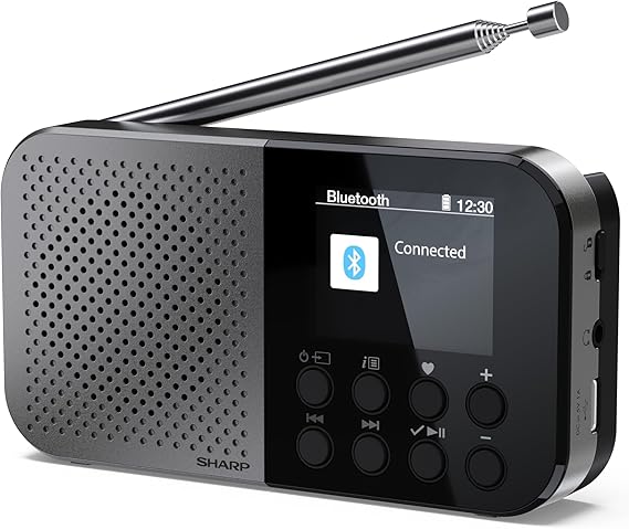 SHARP DR-P520(GY) Radio Digital Bolsillo Osaka, DAB+, DAB y FM con RDS, BT 5.3, Pantalla a color de 2", Alimentación USB-C o batería de litio integrada, Altavoz integrado, mini Jack, bloqueo de teclas