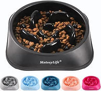 Mateeylife Comedero para Perros, Comedero Perro Antivoracidad para Cani Mediani e Grandi, Slow Feeder Anti Ingozzamento, Mediano 1 Unidad