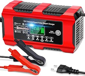 YDBAO Cargador de Baterias Coche 12V 10A para Auto,Moto, AGM, Gel, SLA