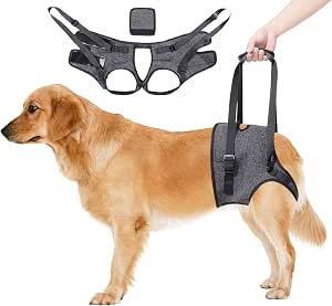 Arnés de Elevación para Perros - Arnes Ayuda Perro, Arnes de Transporte para Perros, Suave, Ajustable para apoyar a Perros Mayores, Heridos y Discapacitados (Gris) (XL)
