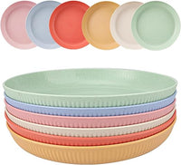 Juego de 6 platos plastico duro reutilizables de 23cm, platos de camping, irrompibles, aptos para microondas, aptos para lavavajillaspara picnic, camping, jardines, exteriores