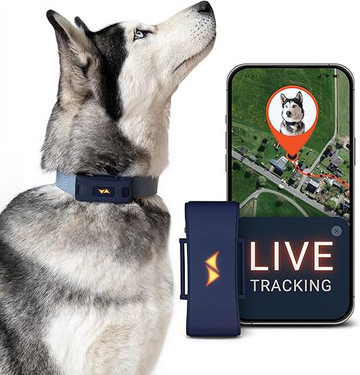 PAJ Localizador GPS para Perros 4G - alarmas de Fuga + Seguimiento en Vivo - hasta 10 días en Modo Ahorro de batería - LED Luminoso - Resistente al Agua (IP67) - Apto para Cualquier Collar - Negro