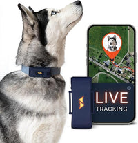 PAJ Localizador GPS para Perros 4G - alarmas de Fuga + Seguimiento en Vivo - hasta 10 días en Modo Ahorro de batería - LED Luminoso - Resistente al Agua (IP67) - Apto para Cualquier Collar - Negro