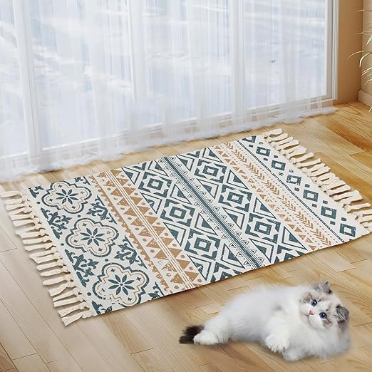 Alfombra Boho para sala de estar, pequeñas alfombras de algodón con borla de 2 x 3 pies, alfombra bohemia vintage de granja, alfombras lavables para cocina, baño, lavandería, entrada interior (C)