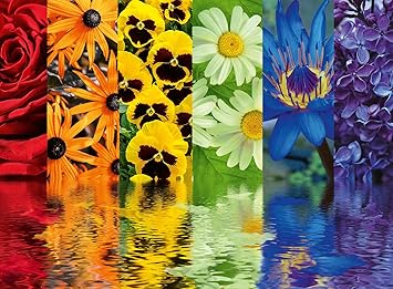 Ravensburger - Puzzle: Flores, Puzzles para Adultos y Niños, Rompecabezas Adultos, Puzzle 500 Piezas, USA Pegamento Puzzle para enmarcar, Puzzle 500 Piezas Adultos, Regalos Originales para Mujer
