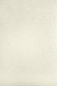 Netuno 50 hojas de papel verjurado color marfil A4 210x297 mm 120g Aster Laid Ivory papel elegante con textura y marca de agua para diplomas cartas certificados invitaciones