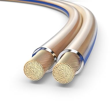 PureLink SP020-010 Cable de altavoz 2 x 4.0 mm² (99.9% OFC cable de cobre sólido 0.10mm) Cable de altavoz de alta fidelidad, 10m, transparente