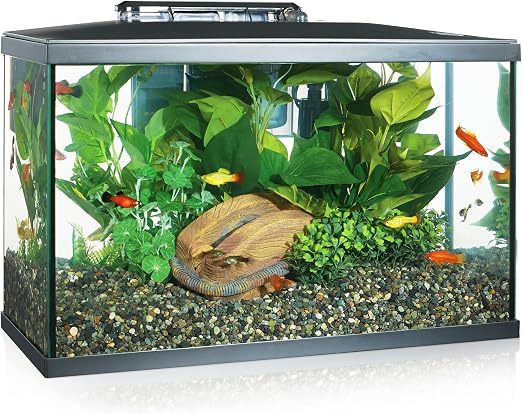 Marina 15256 - Kit de Acuario con Iluminación LED 10G, 38 L, Transparente