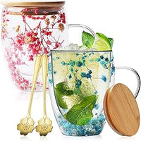PORFOYO Tazas De Café De Vidrio De Flores Secas,Juego De 2 350 ML Vaso Doble Pard Con Cuchara,Tapa,Vasos Dobe Pared Transparente,Taza De Café De Doble Pared Para Té,Café Helado,Leche,Cerveza