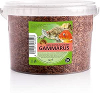 UGF - Camarones Gammarus Premium Deshidratados de Agua Dulce - 318 g en un Cubo de 3 litros, Alimento para Tortugas, Peces de Acuario, Ajolotes, Hámsteres, Erizos, Carpas Koi y Ratas
