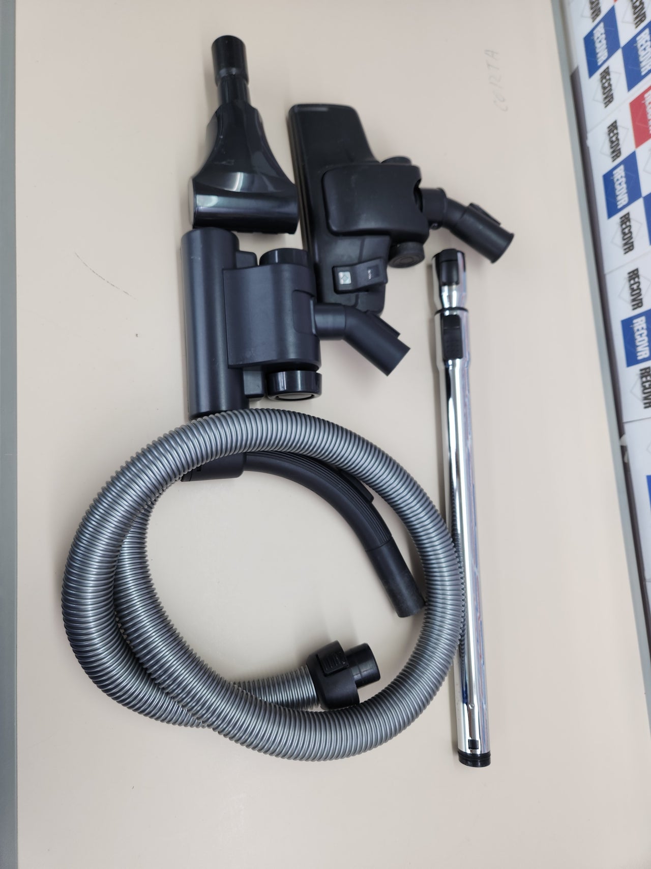 Electrolux EC41-ANIM 750 W - Aspiradora (750 W, Aspiradora cilíndrica, Secar, Sin bolsa, 1,8 L, Filtro higiénico)