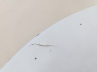 Thumbnail for Parche para tambor de 14 pulgadas (356 mm) Genera HD Dry Evans