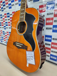 Guitarra Electroacústica EKO Ranger EQ VI