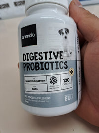 Probióticos perros 120 cápsulas con prebióticos – Probióticos para perros